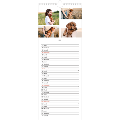 Calendrier mural long  — Arrangements photo [couverture]