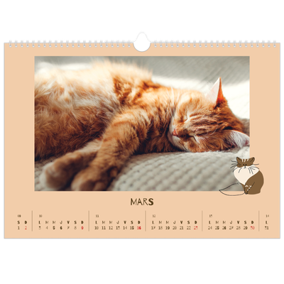 Calendrier photo A3 — Chaton joueur [Mars]