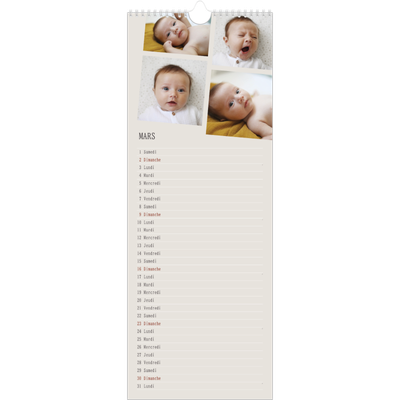 Calendrier mural long  — Souvenirs en mouvement [Mars]