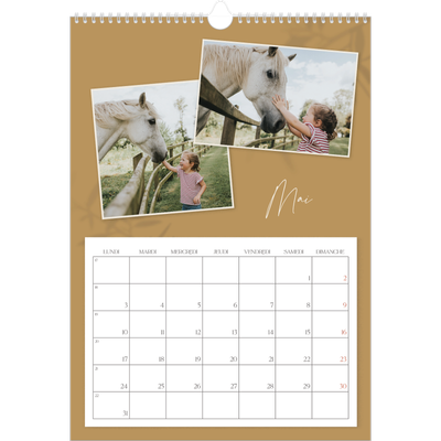 A3 Calendrier annuel — Terre à terre [couverture]