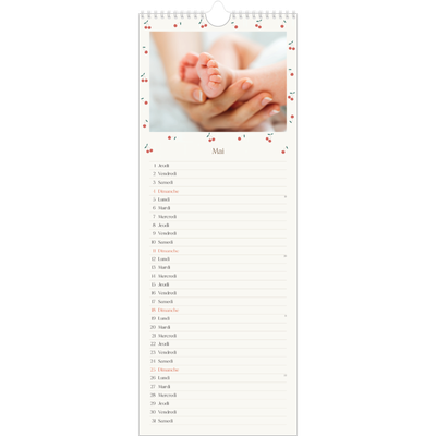 Calendrier mural long  — Cerise sur le bonheur [couverture]