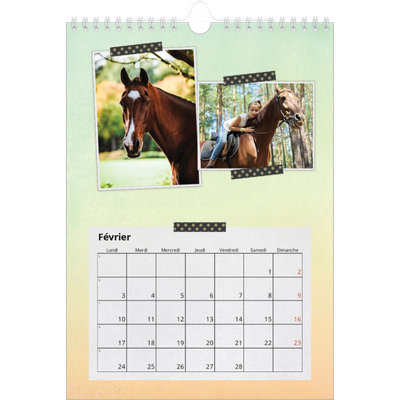 Calendrier photo A4 (20 x 30 cm) — Scrapbooking [Février]