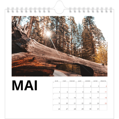 Calendriers annuels carré — Espace blanc [couverture]