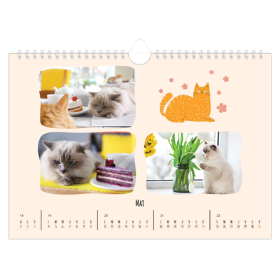 Calendrier photo A4 — Pattes de chat et gribouillis [couverture]