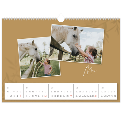 Calendrier photo A3 — Terre à terre [couverture]