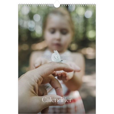 A3 Calendrier annuel — Douze jolis mois [couverture]