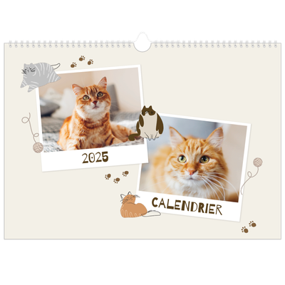 Calendrier photo A3 — Chaton joueur [couverture]