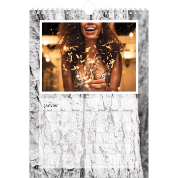 Calendrier photo A4 — Bois à l'état pur