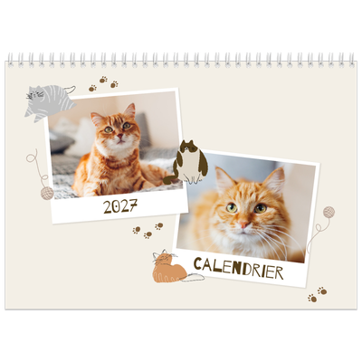 Calendrier photo A4 double (30 x 40 cm) — Chaton joueur [couverture]