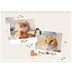 Calendrier photo A4 double (30 x 40 cm) — Chaton joueur [couverture]