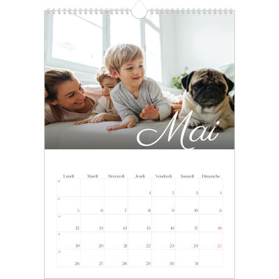A3 Calendrier annuel — Mois écris à la main [couverture]