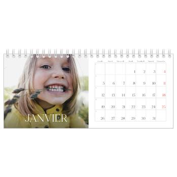 Calendrier de bureau — Douze jolis mois