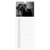 Calendrier mural long  — Écriture élégante [couverture]