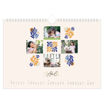 Calendrier photo A4 — Coraux minimalistes [couverture]