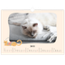 Calendrier photo A3 — Pattes de chat et gribouillis [Janvier]