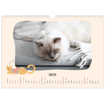 Calendrier photo A3 — Pattes de chat et gribouillis