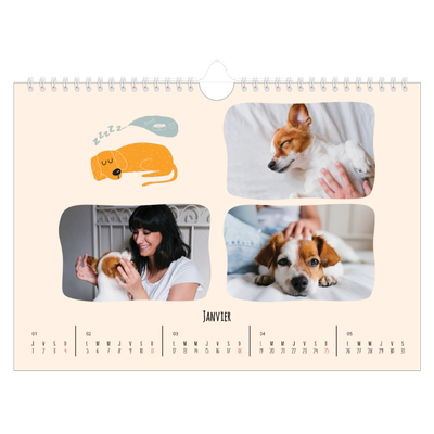 Calendrier photo A4 — Pattes de chien et gribouillis [Janvier]