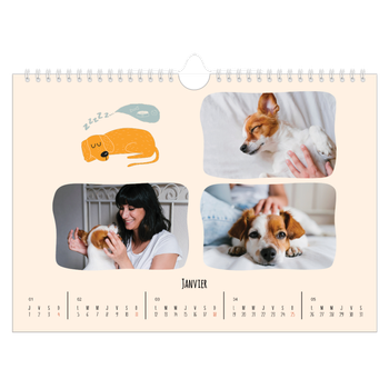 Calendrier photo A4 — Pattes de chien et gribouillis