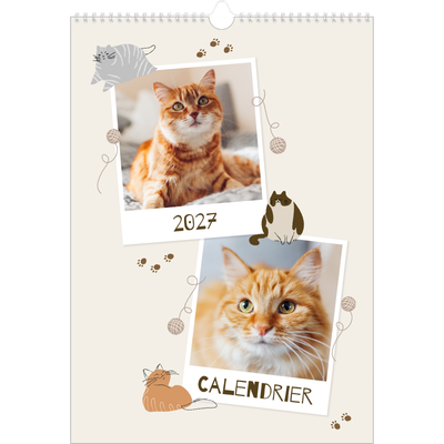 A3 Calendrier annuel — Chaton joueur [couverture]
