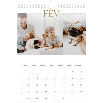 Calendrier photo A4 (20 x 30 cm) — Large texte Doré [Février]