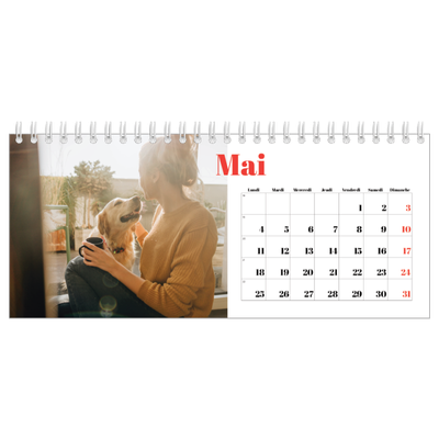 Calendrier de bureau — Une année audacieuse [couverture]