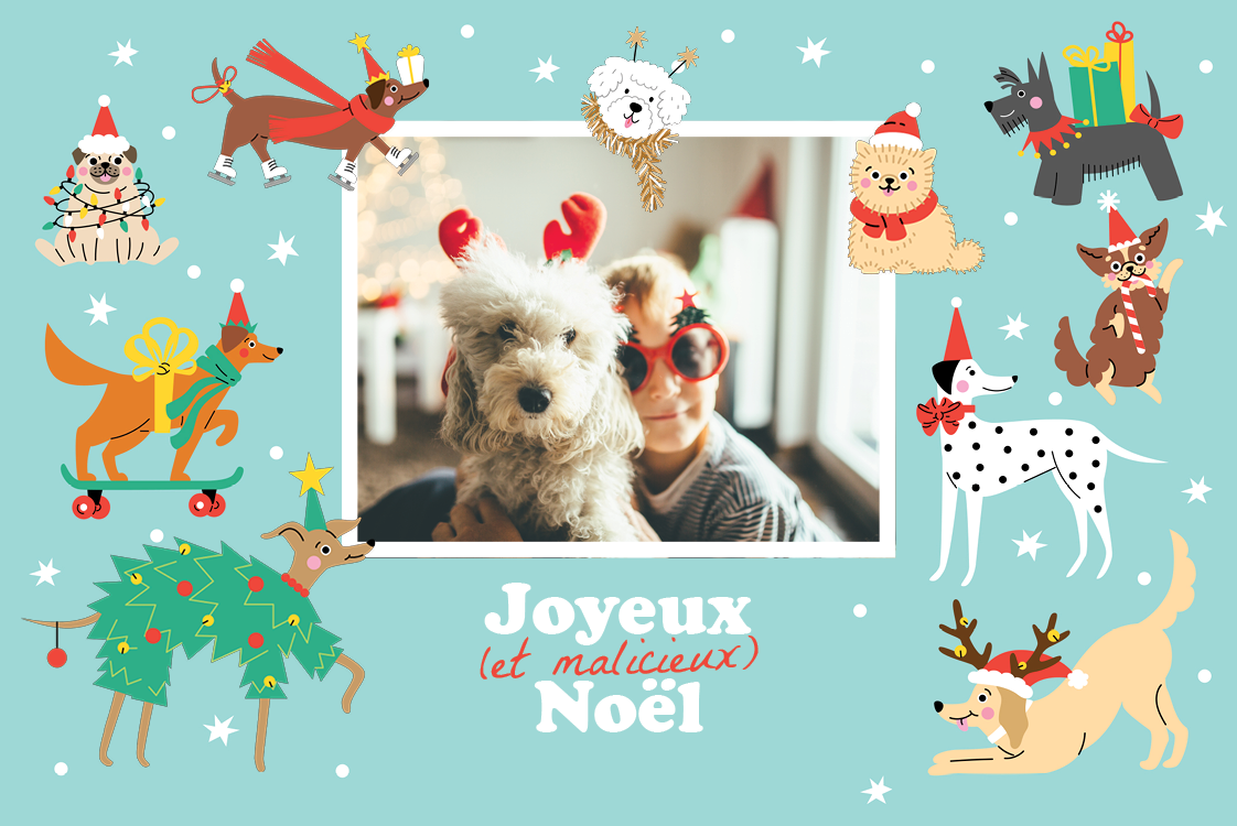 Faire-part & Cartes — Chien de Noël