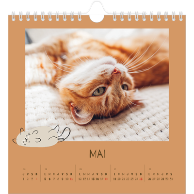 Calendriers annuels carré — Chaton joueur [couverture]
