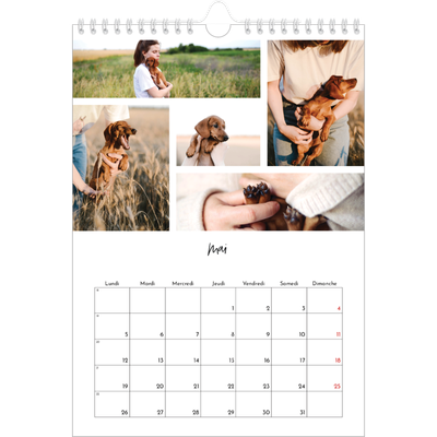 Calendrier photo A4 (20 x 30 cm) — Arrangements photo [couverture]