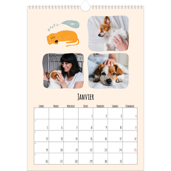 Calendrier photo A3 — Pattes de chien et gribouillis