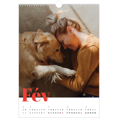 A3 Calendrier annuel — Une année audacieuse [Février]