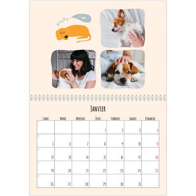 Calendrier photo A4 double (30 x 40 cm) — Pattes de chien et gribouillis [Janvier]
