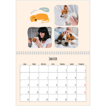 Calendrier photo A4 double — Pattes de chien et gribouillis