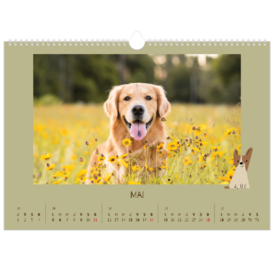 Calendrier photo A3 — Chiot joueur [couverture]