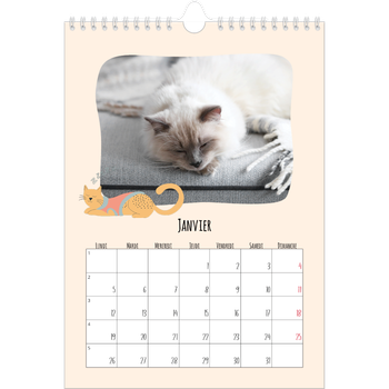 Calendrier photo A4 — Pattes de chat et gribouillis