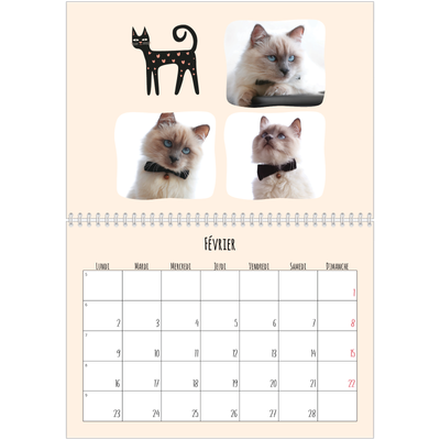 Calendrier photo A4 double (30 x 40 cm) — Pattes de chat et gribouillis [Février]