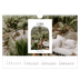 Calendrier photo A4 — L'arche ouverte [Février]