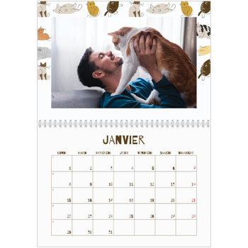 Calendrier photo A4 double — Chaton joueur