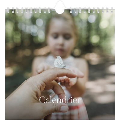 Calendriers annuels carré — Douze jolis mois [couverture]