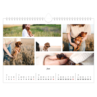 Calendrier photo A4 — Arrangements photo [couverture]