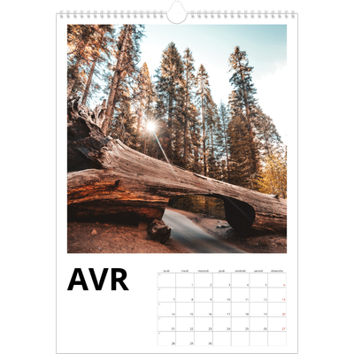 A3 Calendrier annuel — Espace blanc [Avril]