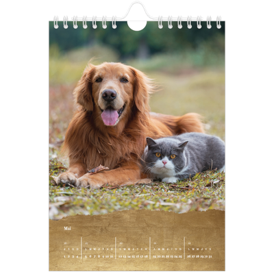 Calendrier photo A5 — Classic Gold [couverture]