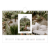Calendrier photo A5 — L'arche ouverte [Février]