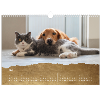 Calendrier photo A3 — Classic Gold [couverture]