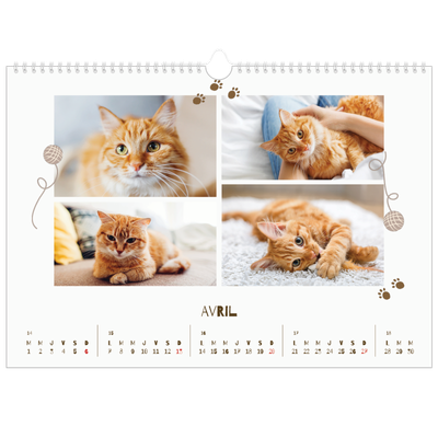 Calendrier photo A3 — Chaton joueur [Avril]
