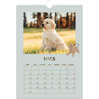 Calendrier photo A4 (20 x 30 cm) — Chiot joueur [Mars]