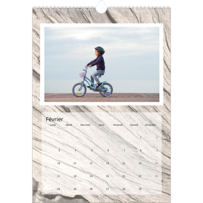 A3 Calendrier annuel — Bois à l'état pur [Février]