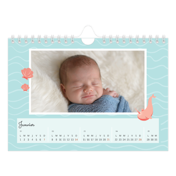 Calendrier photo A5 — Mes petits animaux