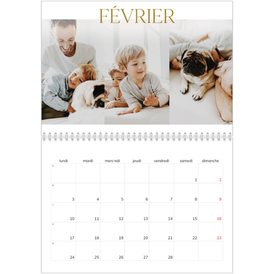 Calendrier photo A4 double (30 x 40 cm) — Large texte Doré [Février]