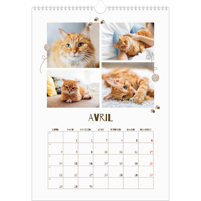A3 Calendrier annuel — Chaton joueur [Avril]