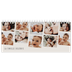 Calendrier de bureau — Souvenirs en mouvement [couverture]